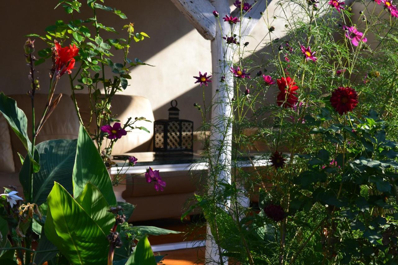 Casa Luna Betiluna Villa Oravita Exterior foto